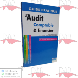 guide pratique d'audit comptable & financier